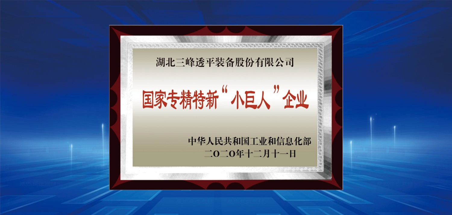 國家級專精特新小巨人.jpg