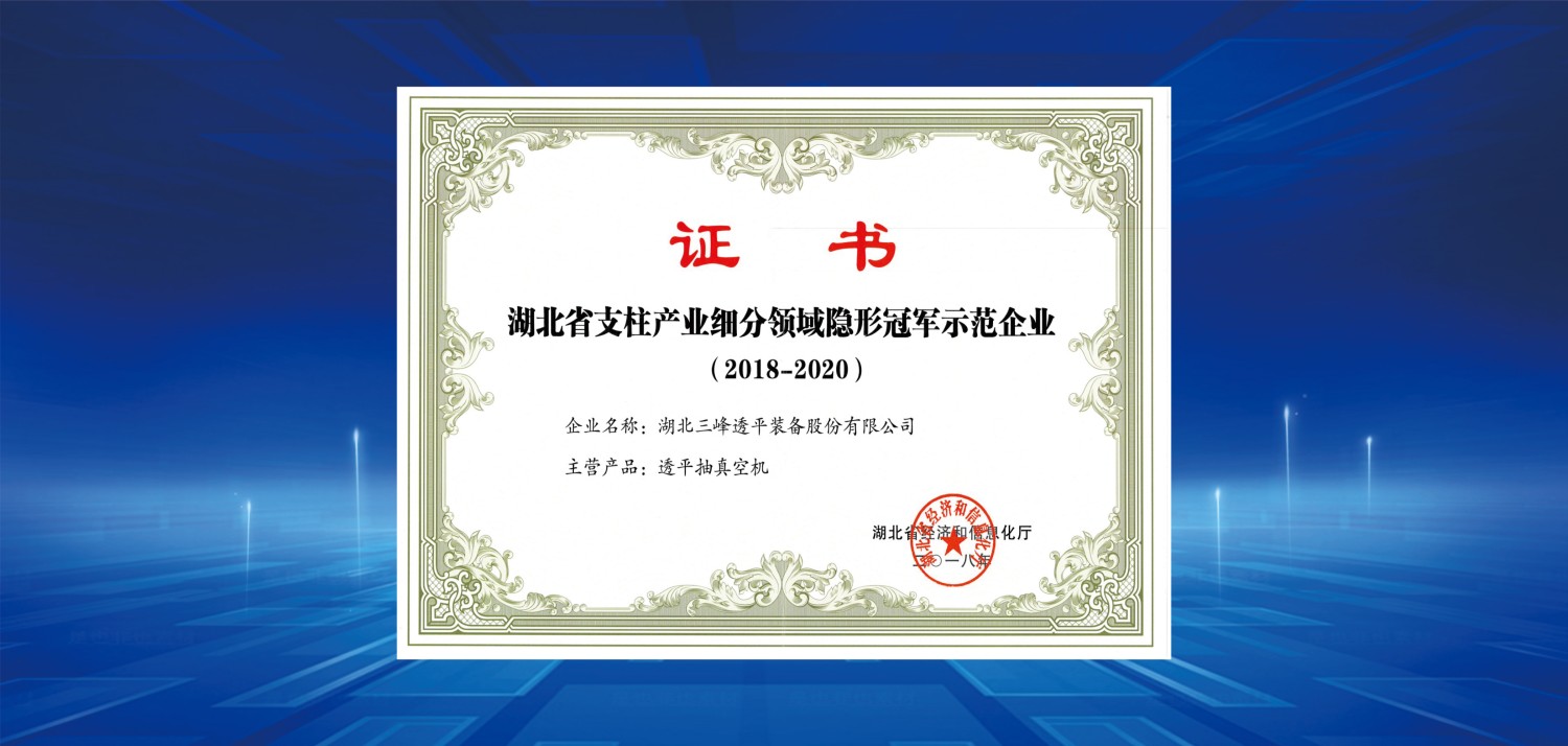 2018細分領(lǐng)域冠軍.jpg